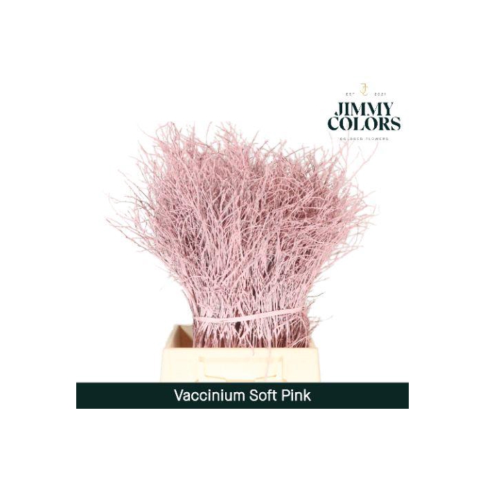 <h4>Vaccinium L50 Klbh. Licht Roze</h4>