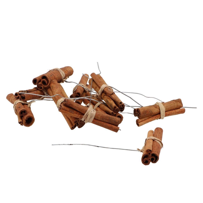 <h4>Pick Nature Cinnamon On Wire P/50 Stuks 2026</h4>