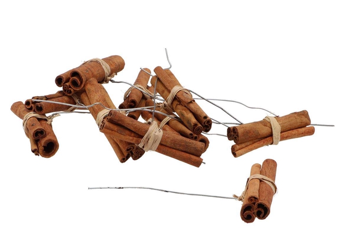 Pick Nature Cinnamon On Wire P/50 Stuks 2026