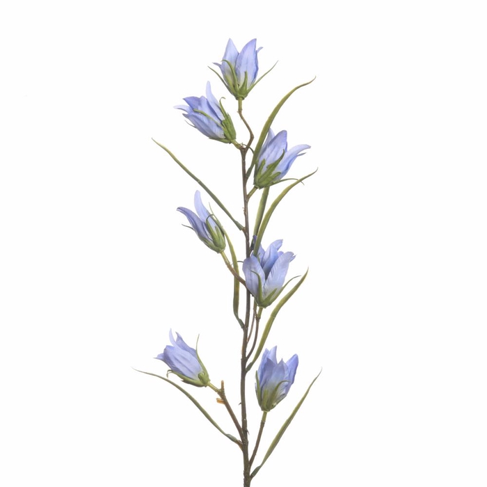 Af Campanula L94cm Blue