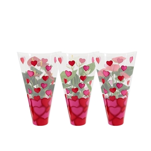 Anthurium 12 cm 3 color mix in heart sleeve Lilly