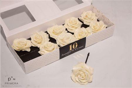 Roos Wax Zijde 310 Creme