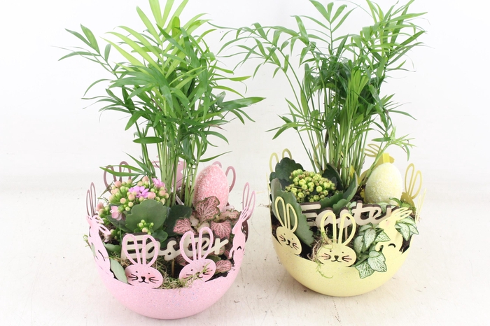 <h4>arr2 JS - Zink easter bowl 338/6 mix</h4>