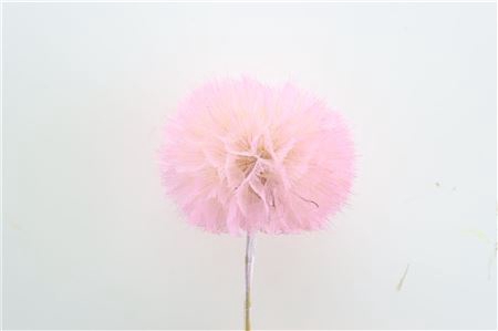 <h4>PRES PUSTE FLOWER BABY SATIN PINK</h4>