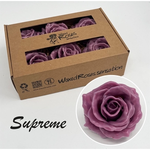 R Zijde Supreme Milka Wx