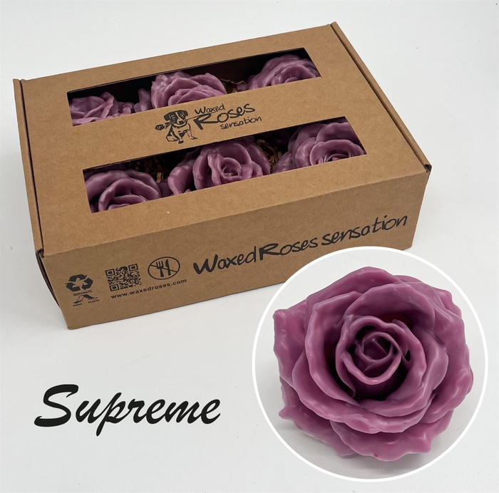 <h4>R Zijde Supreme Milka Wx</h4>