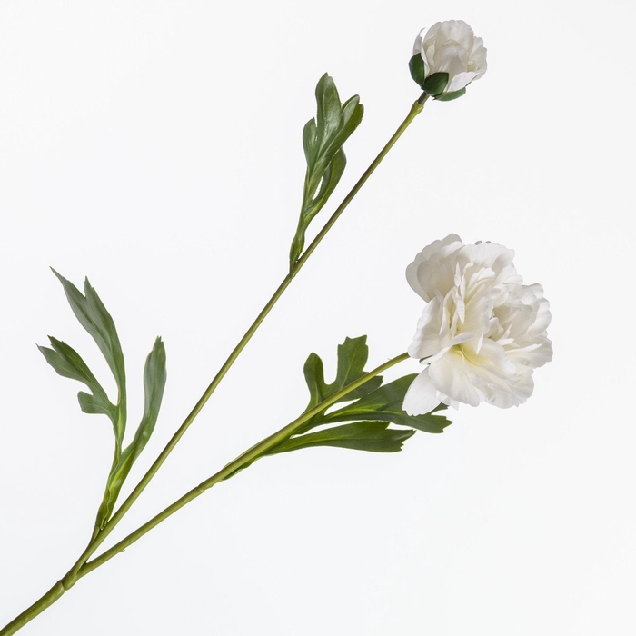 <h4>Ranunculus Spray Cream FL440297CRM</h4>