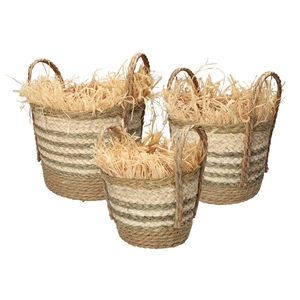 DF06-740486300 - Set/3 Basket Limosa d30xh23/34 green/natural
