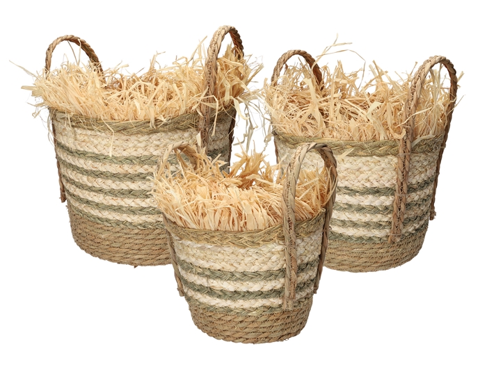 <h4>DF06-740486300 - Set/3 Basket Limosa d30xh23/34 green/natural</h4>