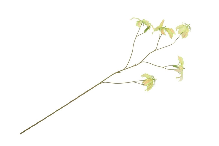 <h4>Silk Gloriosa Light Pink 105cm</h4>