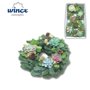 Concepts® - Christmas Succulent Wreath (Nobilis) Concepts®