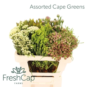 Assorted Cape Greens Mix