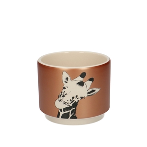 Giraffe pot d10*8.5cm