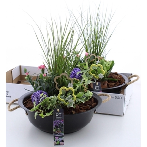 Arr.   Tuinplanten L%