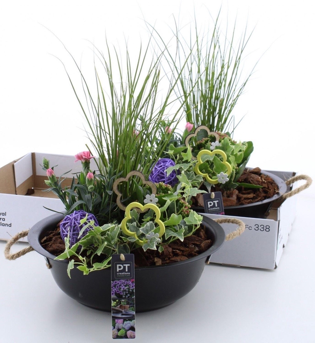 <h4>Arr.   Tuinplanten L%</h4>