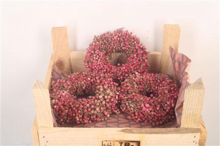 <h4>Krans Schinus 12cm X6</h4>