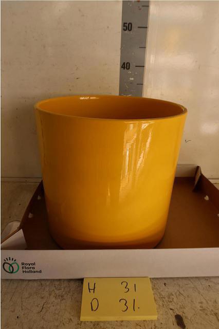 <h4>HUIS EN TUINDECO H%</h4>