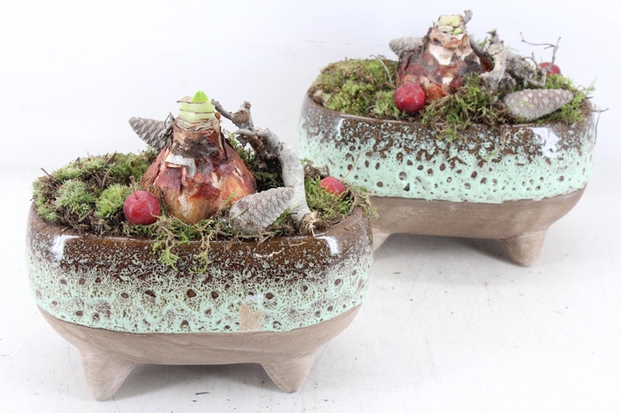 <h4>arr4 Amaryllis MB - Luxe ovaal pootjes. x4</h4>