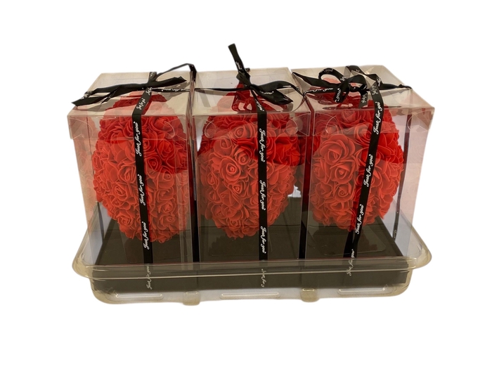 <h4>ARR ROSA POT H%</h4>