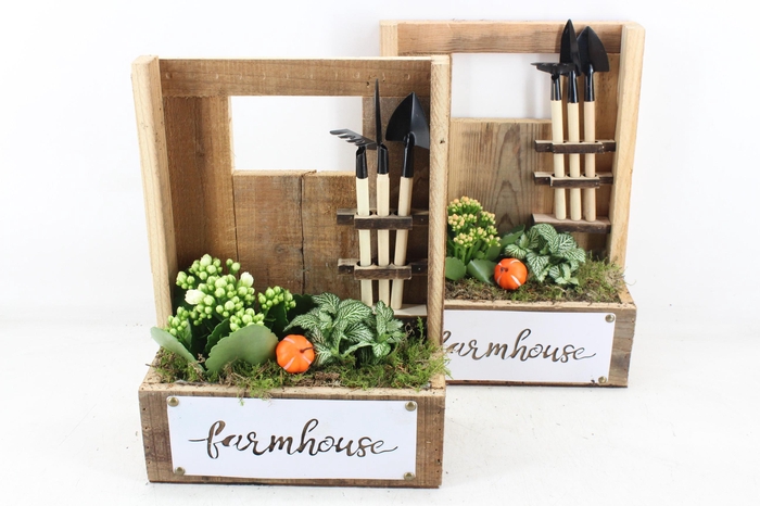 <h4>arr2 TD - Hout farmhouse - oranje/wit</h4>