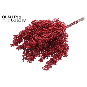 Dried schinus mollis paint red