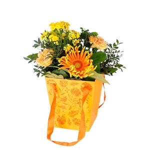 Bag Floral cardboard 16x12xH18cm orange 10/bag