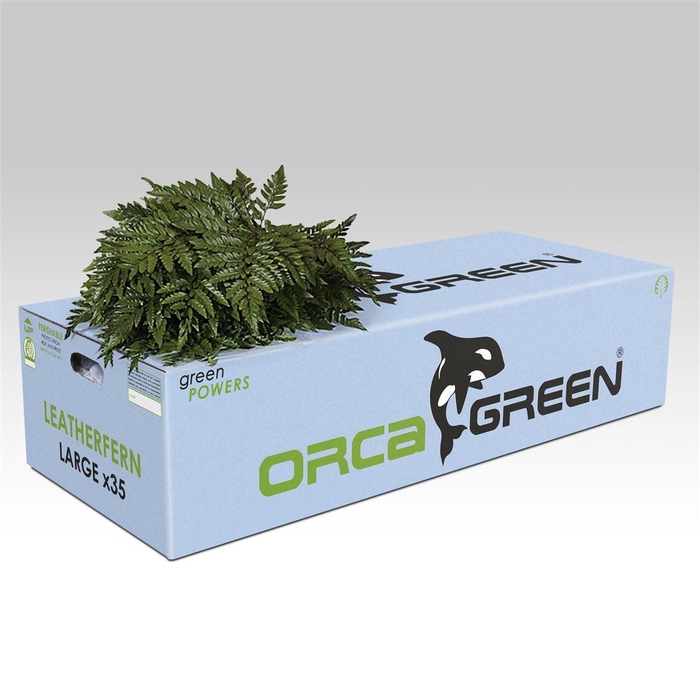 <h4>ŽAL LEATHER LEAF LARGE</h4>