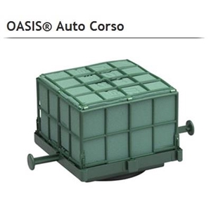 OASIS 11-03024 AUTOCORSO X6