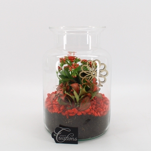 BACR-2506R Basic fundamentals terrarium