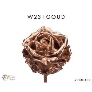 Wax-Rozen Wax Goud w23