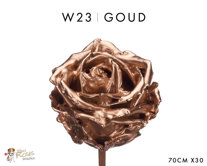 <h4>Wax-Rozen Wax Goud w23</h4>