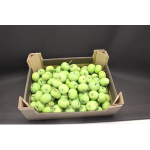 F Appel Groen 5kg