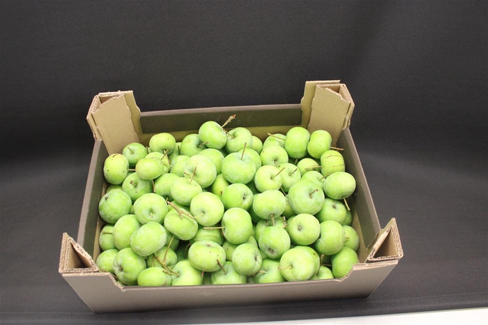 <h4>F Appel Groen 5kg</h4>