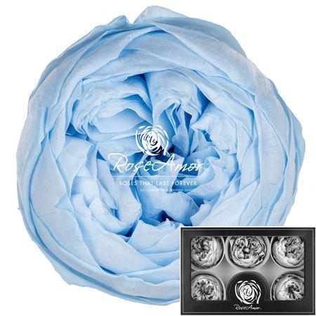 <h4>Niki Xl Blu89</h4>