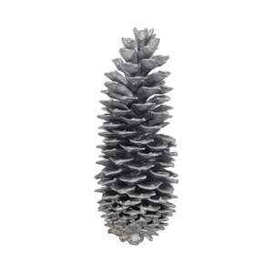 Pinecone Sugar Wax Slv L35