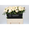 Paeonia Madame Claude Tain
