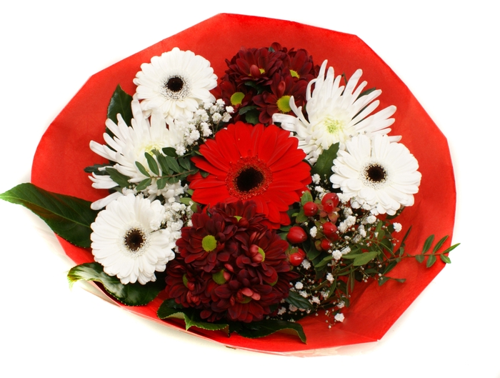 <h4>2025004 Rood</h4>