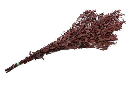 Bunch Euca Parvifoglia Pres. 150g L65