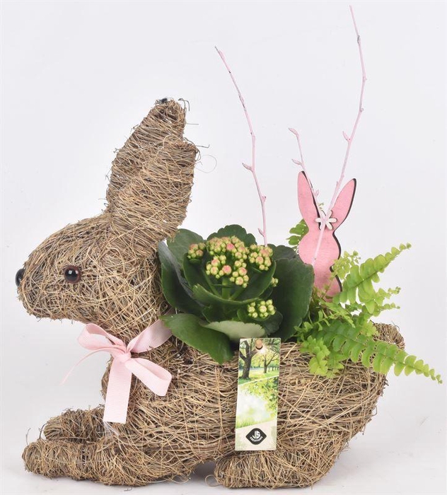 <h4>Stro haas 30x10cm</h4>