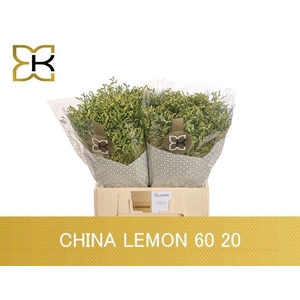 LIM SIN CHINA LEMON 20 GR.