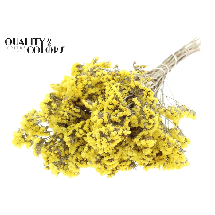 <h4>Statice per bunch Natural Yellow</h4>