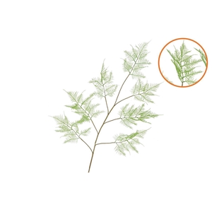 Silk Fern Asparagus Light Green 138cm Nm