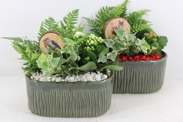 <h4>arr2 PL - Ker. glazed green ovaal - rood/wit</h4>