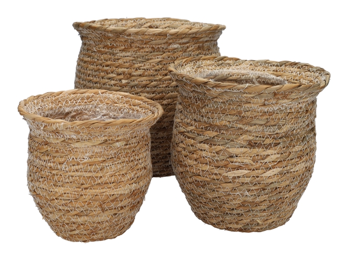 <h4>DF06-730242900 - Set/3 Basket Amina d23xh23 natural</h4>