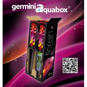 Germini Mix Aquabox x184 Aquabox