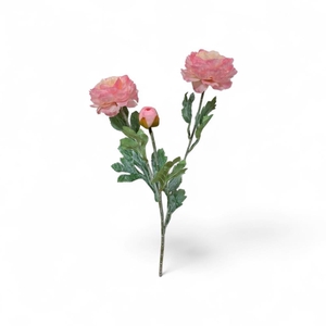 AF Ranunculus spr L52cm l.pink
