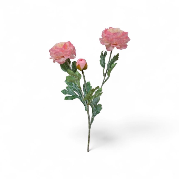 <h4>AF Ranunculus spr L52cm l.pink</h4>