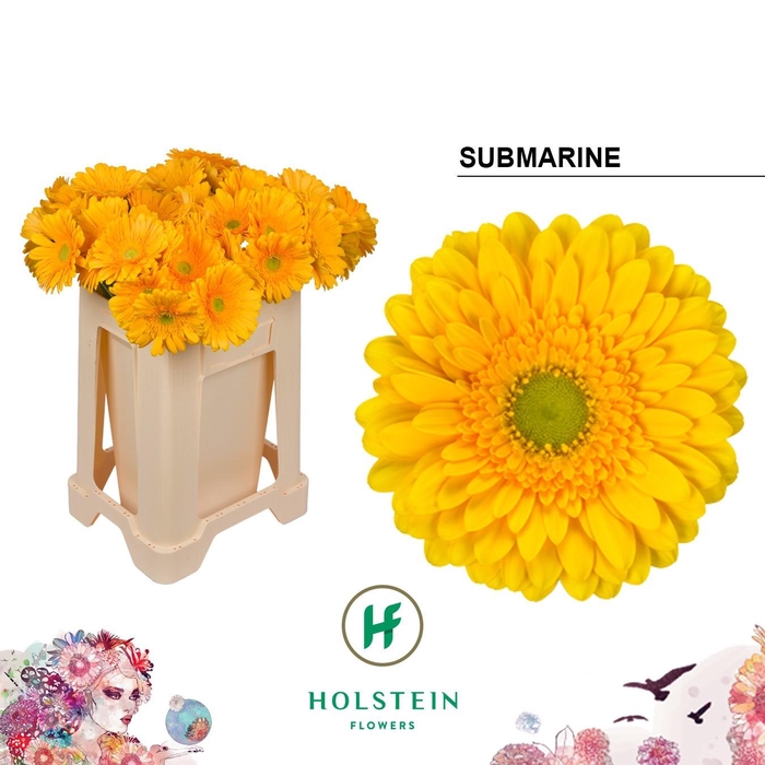 <h4>GE GR SUBMARINE</h4>