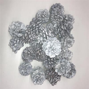 K21.PINUS PINEA STON KERST