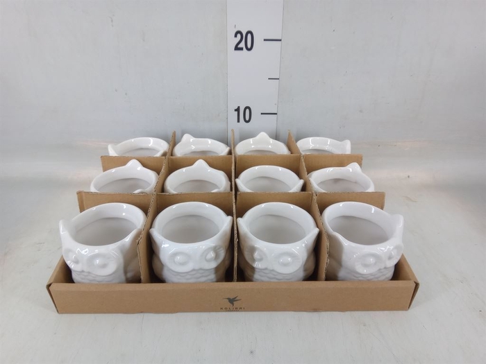 <h4>Pot   ...keramische H%</h4>
